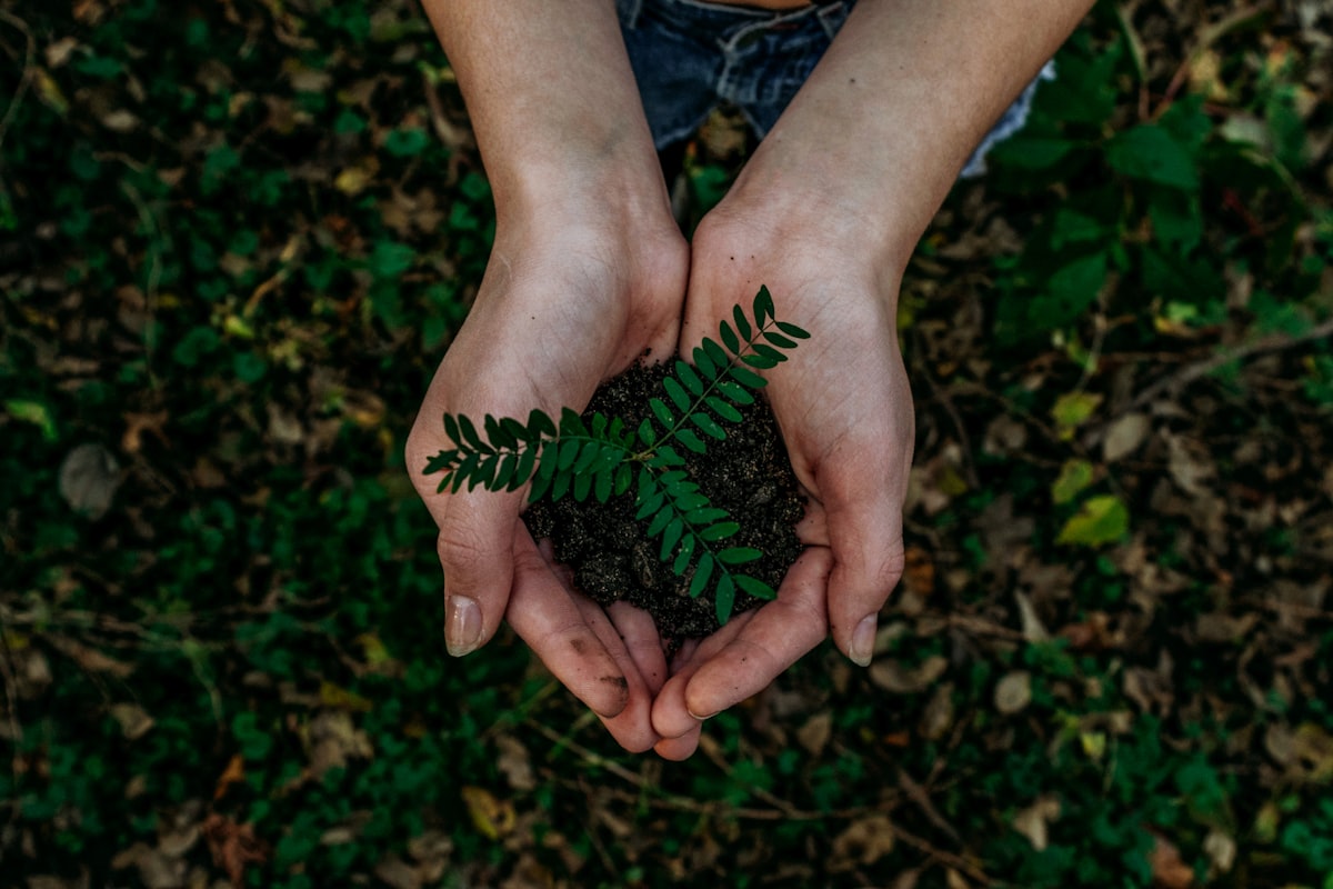 Nettoyage écologique produits verts entreprise